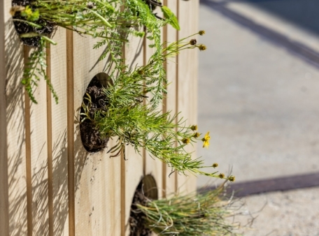 leafy plant uit muur