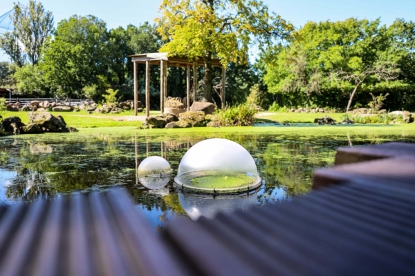 Image for Test jouw innovatie