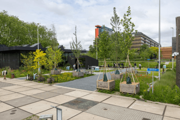 PNG HittePlein