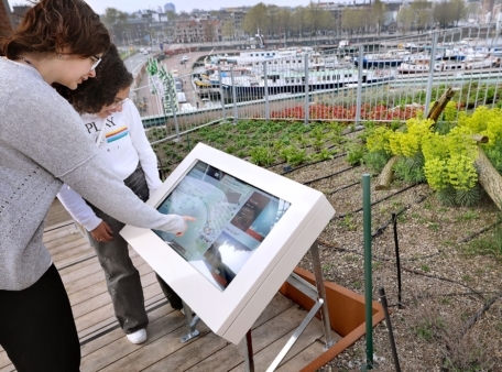 Plantenluisteraar